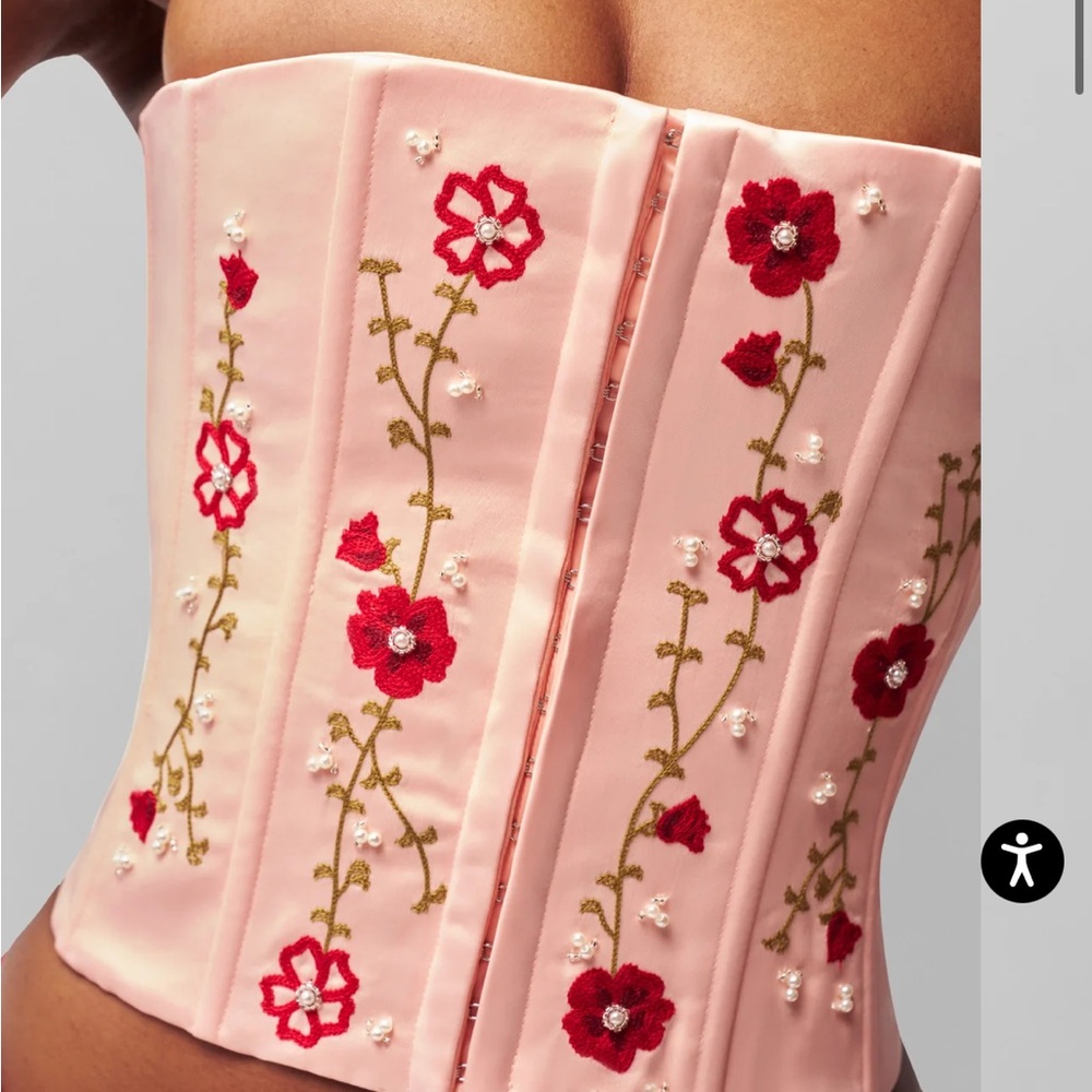 NWT Danielle Guizio Pink Corset with Red Floral Embroidery